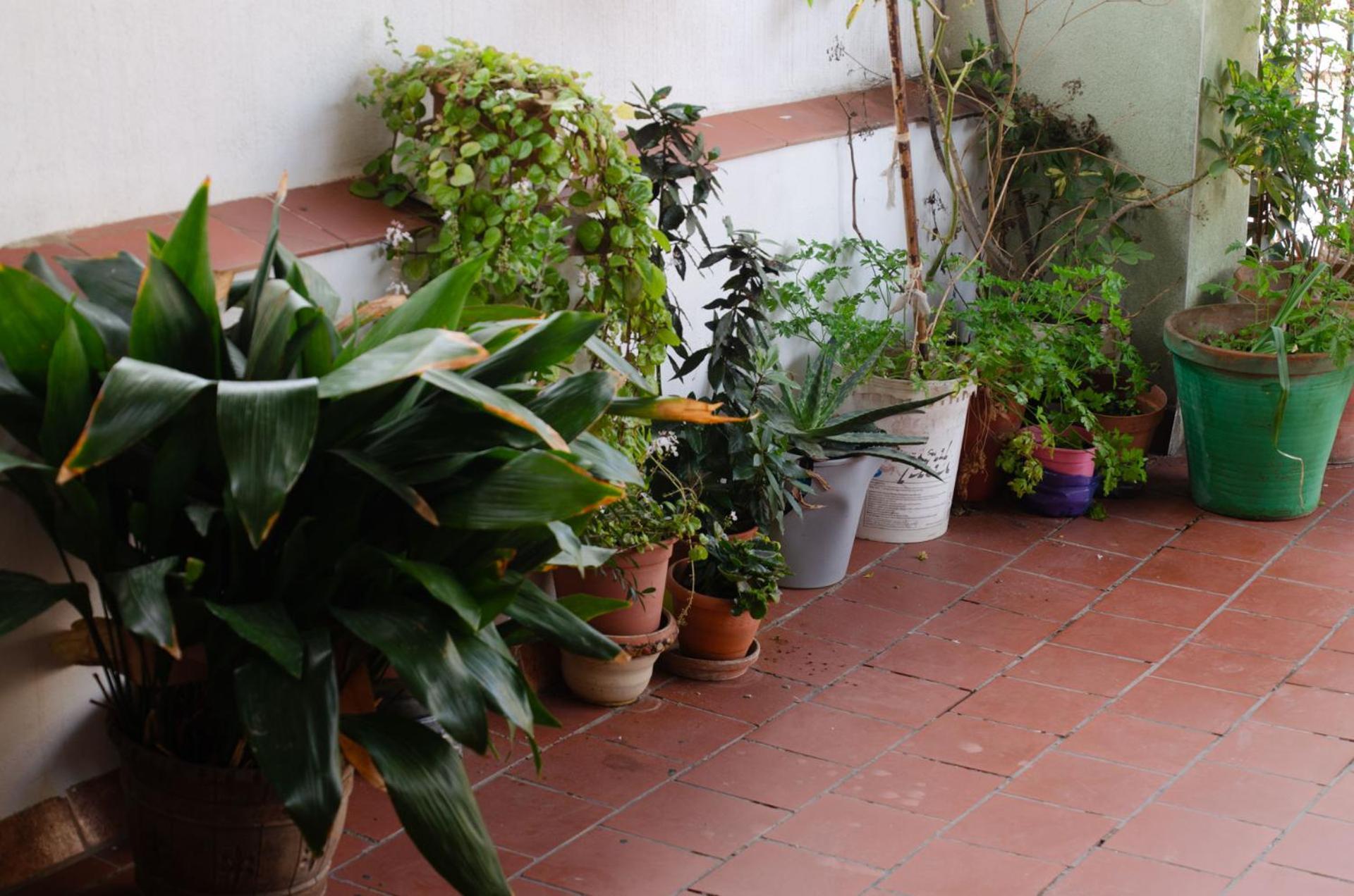 Hospedaje Lisboa Algeciras Exterior photo